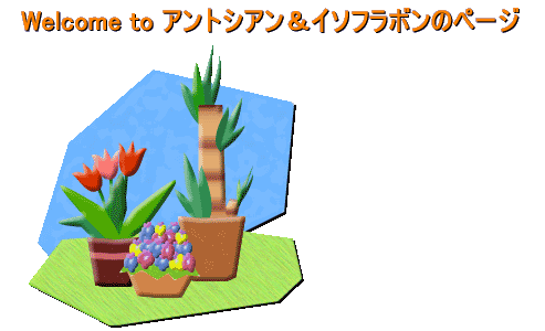 �o�i�[